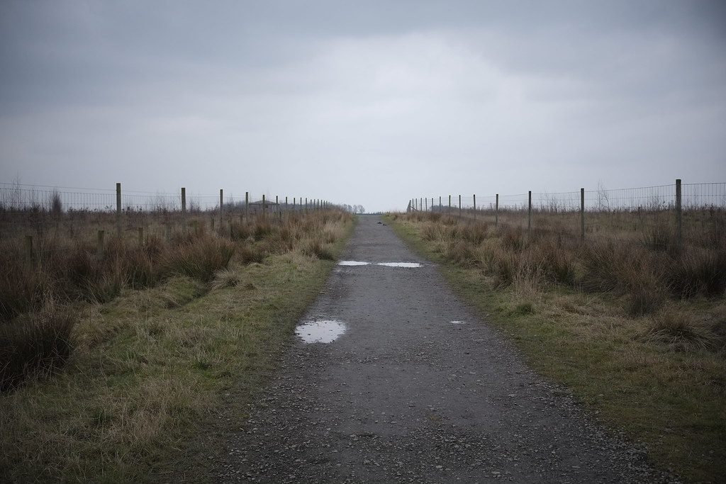 Fujifilm X-Pro 1 The path ahead
