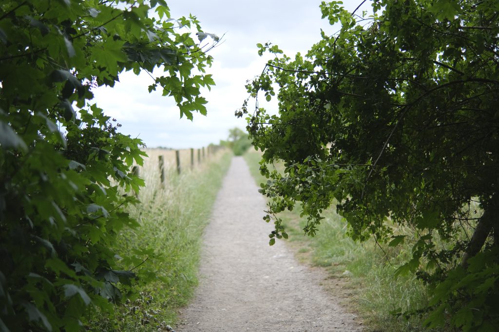 Viltrox 33mm f1.4 Fuji review