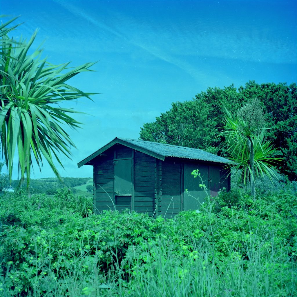 Flexaret iia